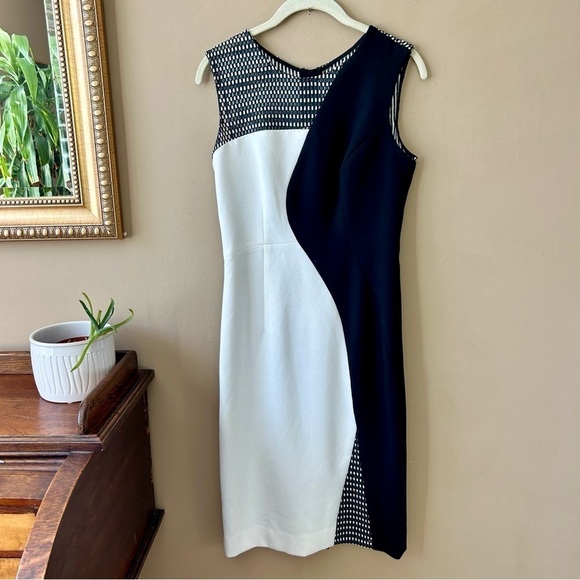 Milly Mesh Helix Colorblock Sheath Dress Black and White Two Tone Sheath Size 2 - Picture 4 of 10